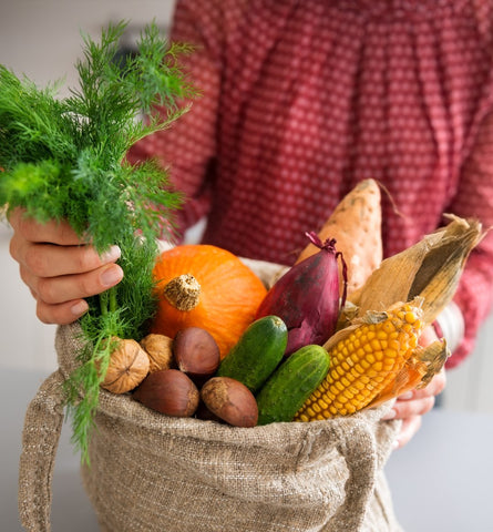 Blog Feed Article Feature Image Carousel: Vegan Holiday Recipes for You and Your Pet 