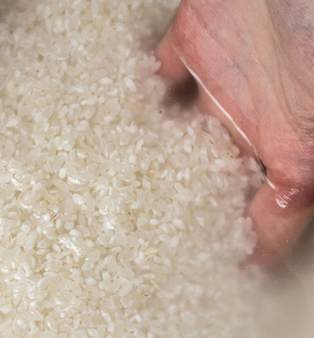 Blog Feed Article Feature Image Carousel: DIY: How to Make Rice Water Recipes for Hair and Skin 