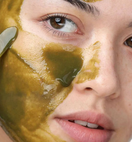 Blog Feed Article Feature Image Carousel: Why We Never Use Fillers or Cheap Substitutes 