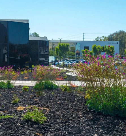 Blog Feed Article Feature Image Carousel: Why Susie Built Purity Park in San Jose 