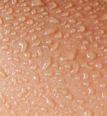Blog Feed Article Feature Image Carousel: How Does Skin Absorption Work? 